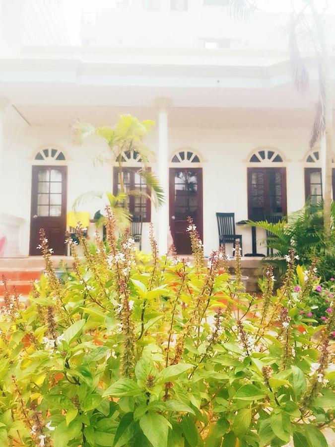 Bien Dua Backpacker Hotel Фантхьєт Екстер'єр фото