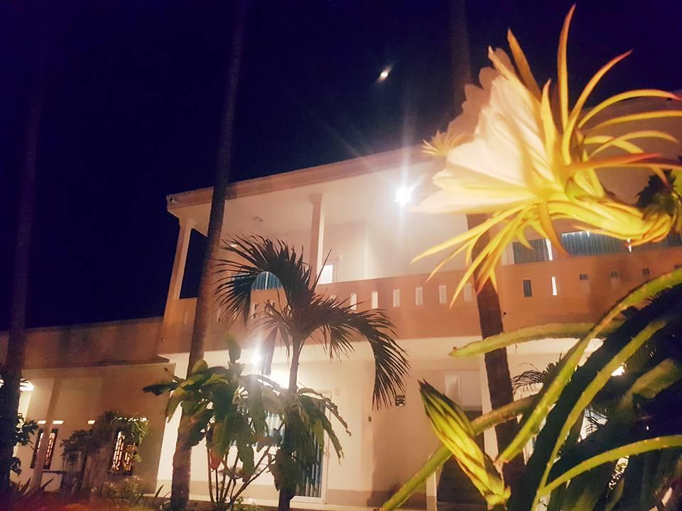 Bien Dua Backpacker Hotel Фантхьєт Екстер'єр фото
