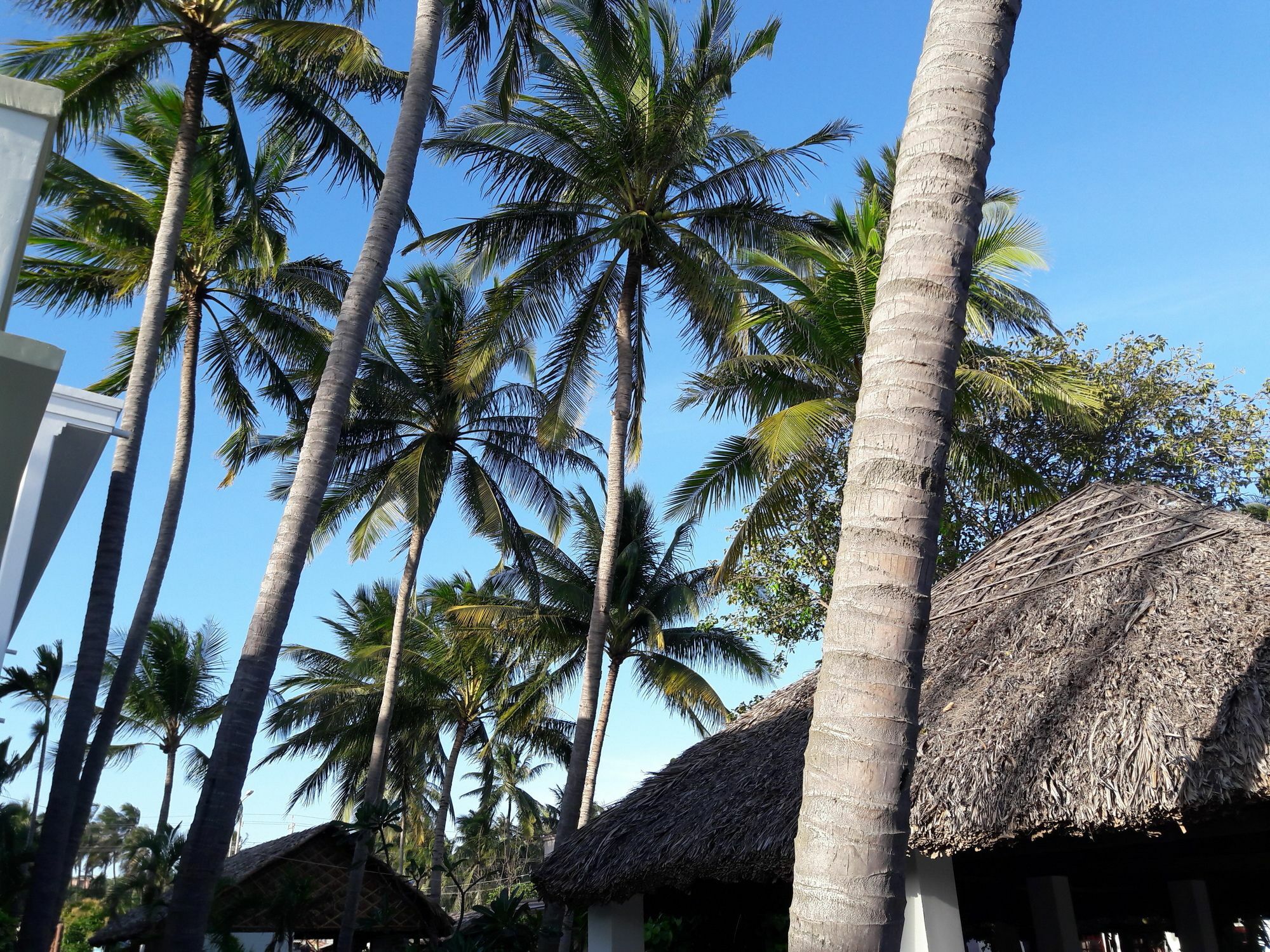 Bien Dua Backpacker Hotel Фантхьєт Екстер'єр фото